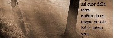 Alex Carreño🍀 banner