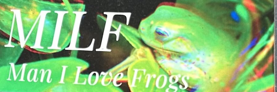 beefalosoldier's profile banner image