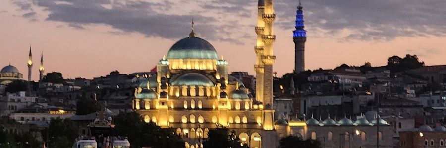 HalalHamDog's profile banner image