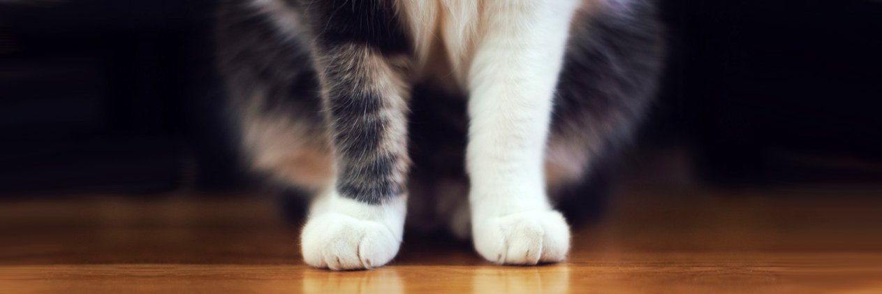 ℕ𝕒𝕣𝕦𝕥𝕠 banner