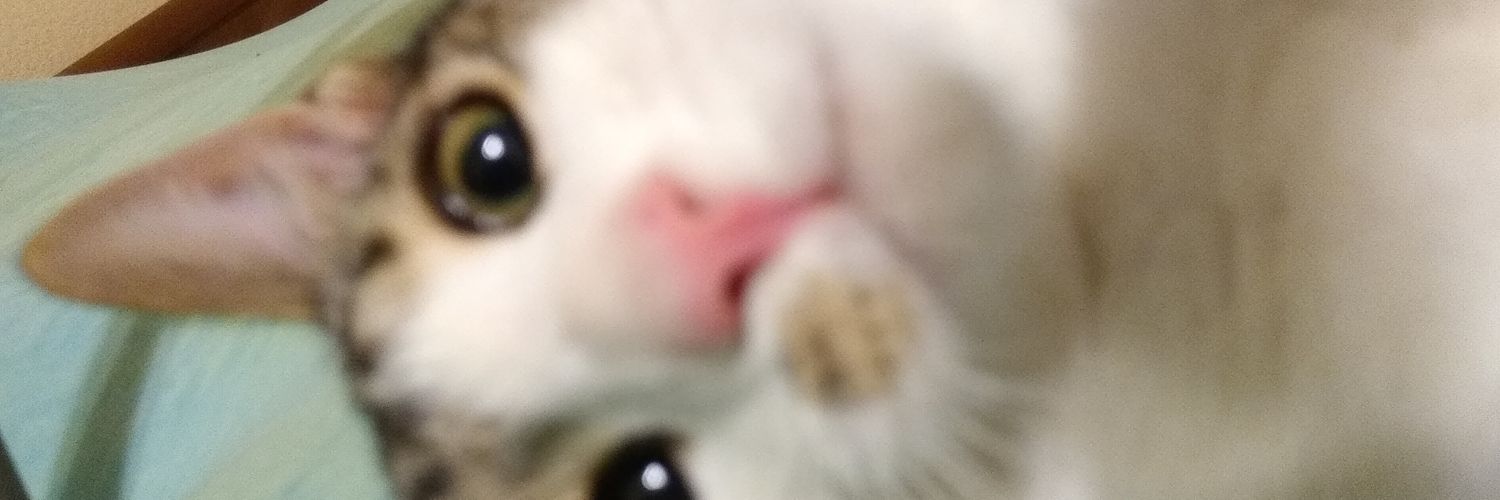 thesnackwolf's profile banner image
