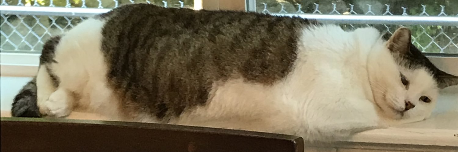 ace_boogie14's profile banner image