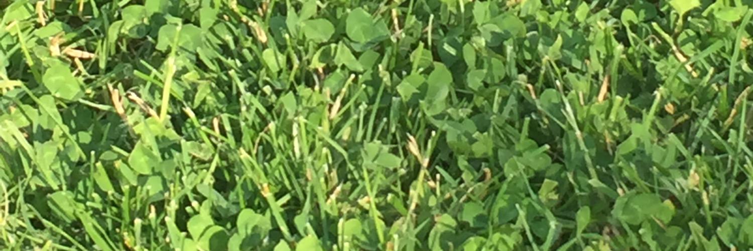 cristingi's profile banner image