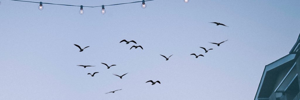 hunterpistole's profile banner image