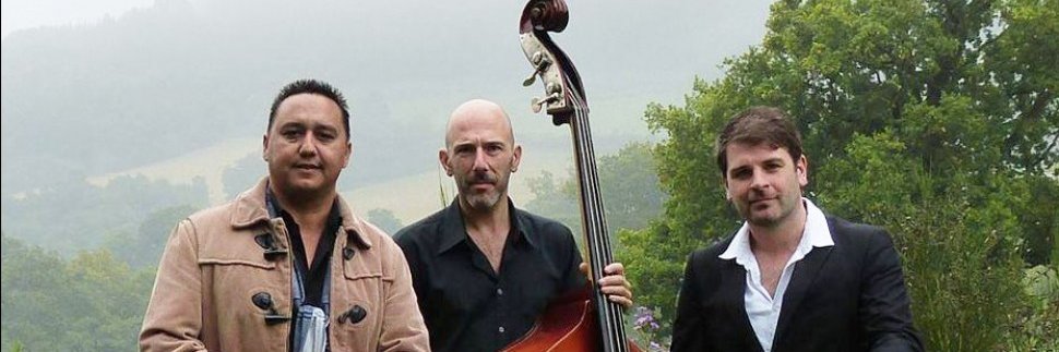 Barry Arts Festival banner