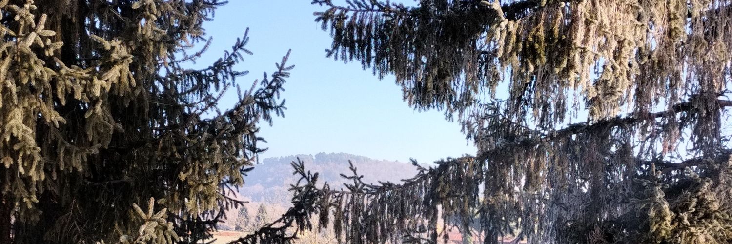 Moomoune's profile banner image