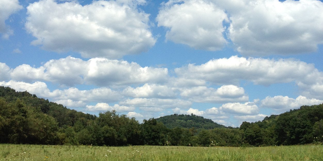 Dee banner