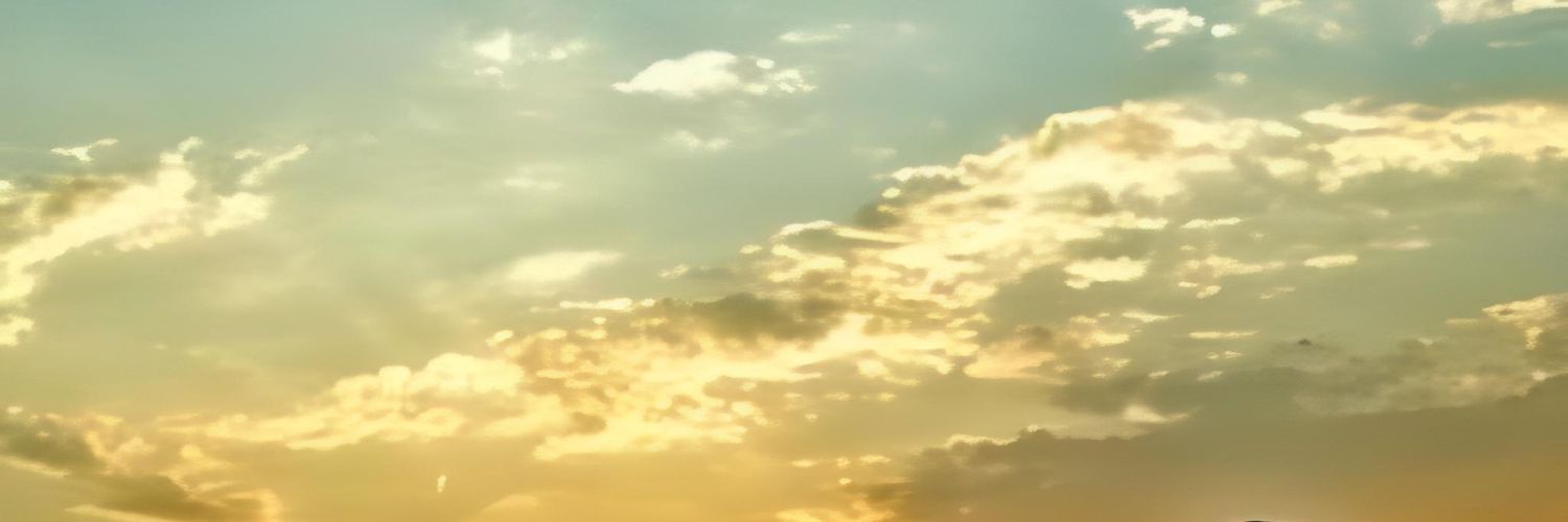 alfinOwilly's profile banner image