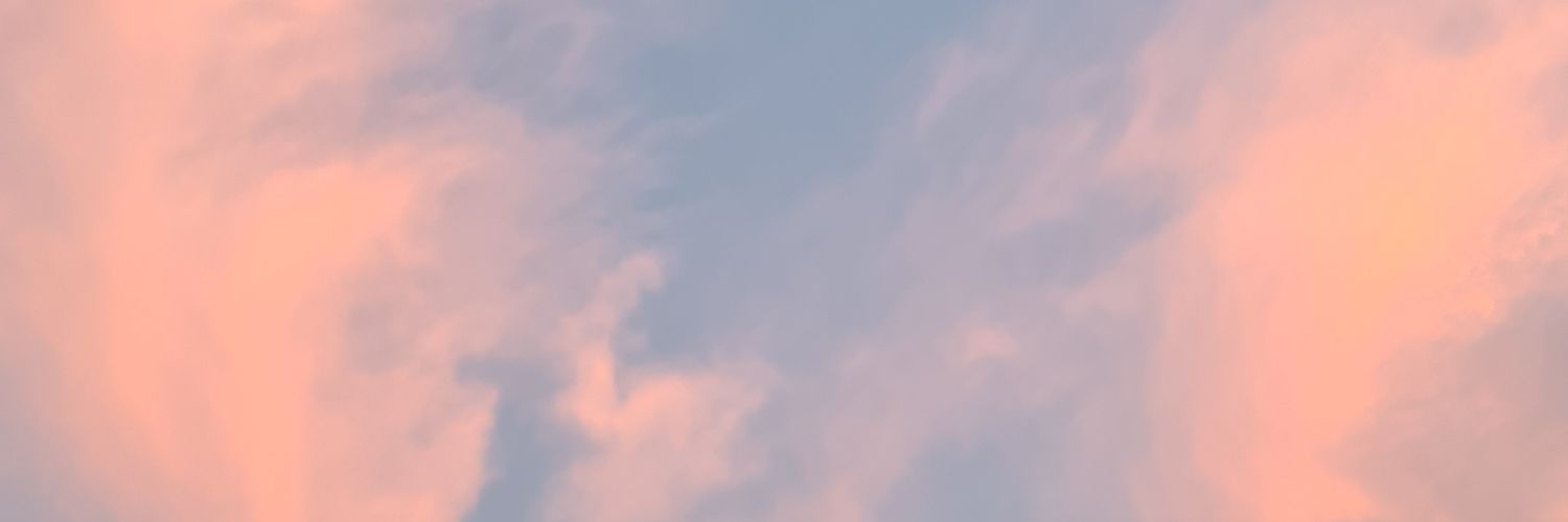 la_pikoz's profile banner image