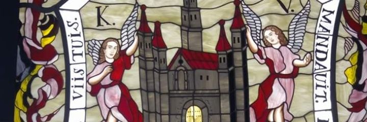 paodelros's profile banner image