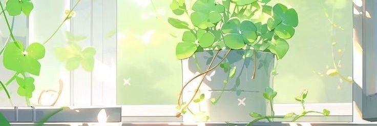 kell_gem_'s profile banner image