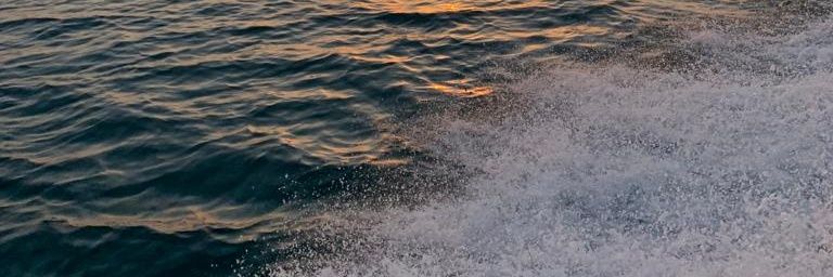 Baz_Maali's profile banner image