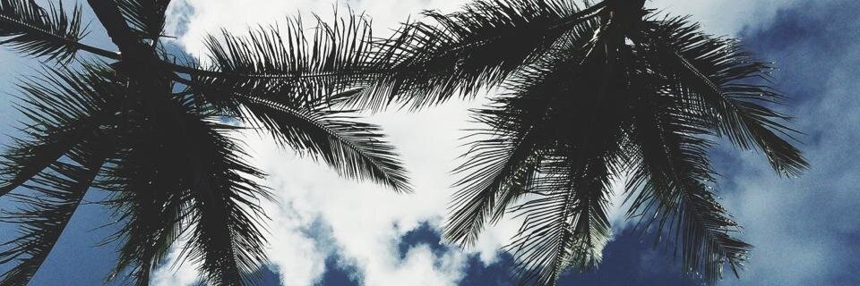 d banner