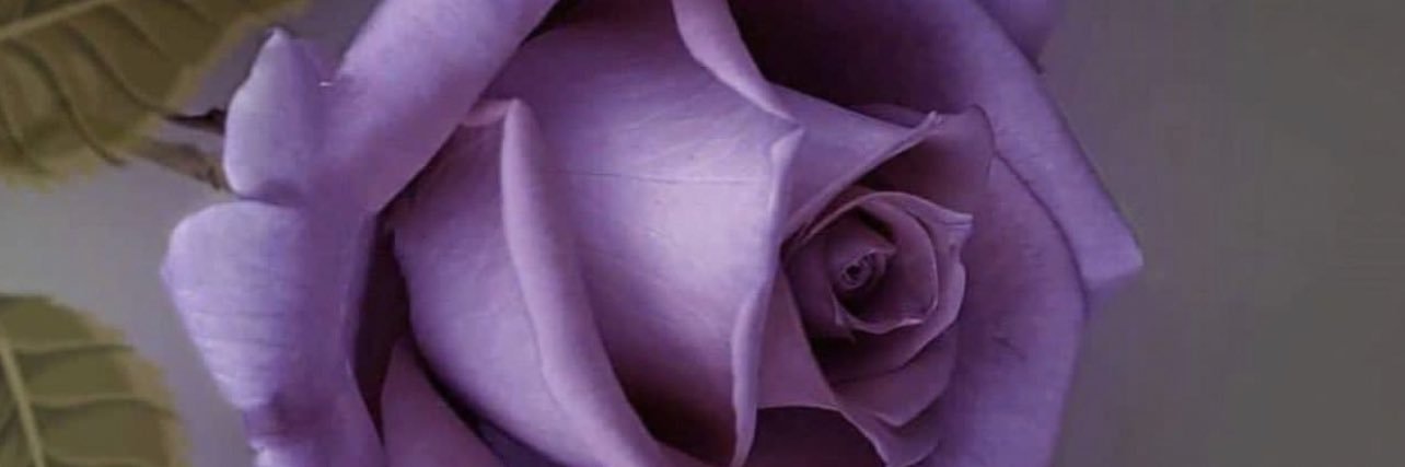 m30m21's profile banner image