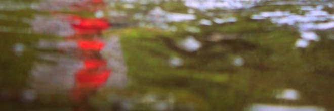 dedezinhoneyez banner