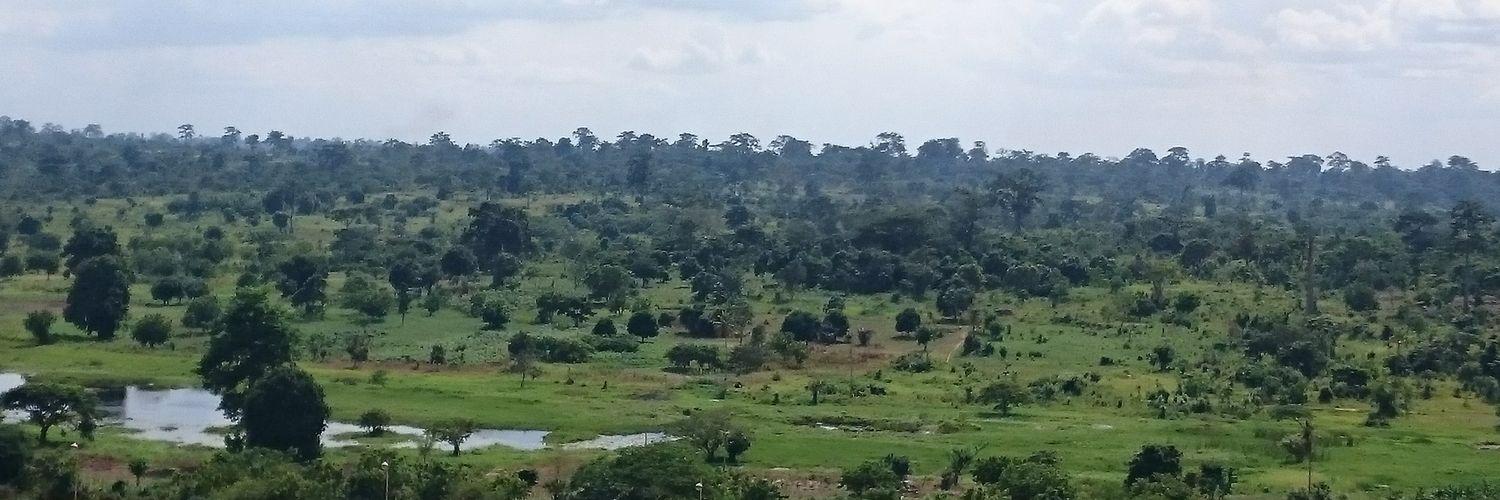 papi_en_afrique's profile banner image