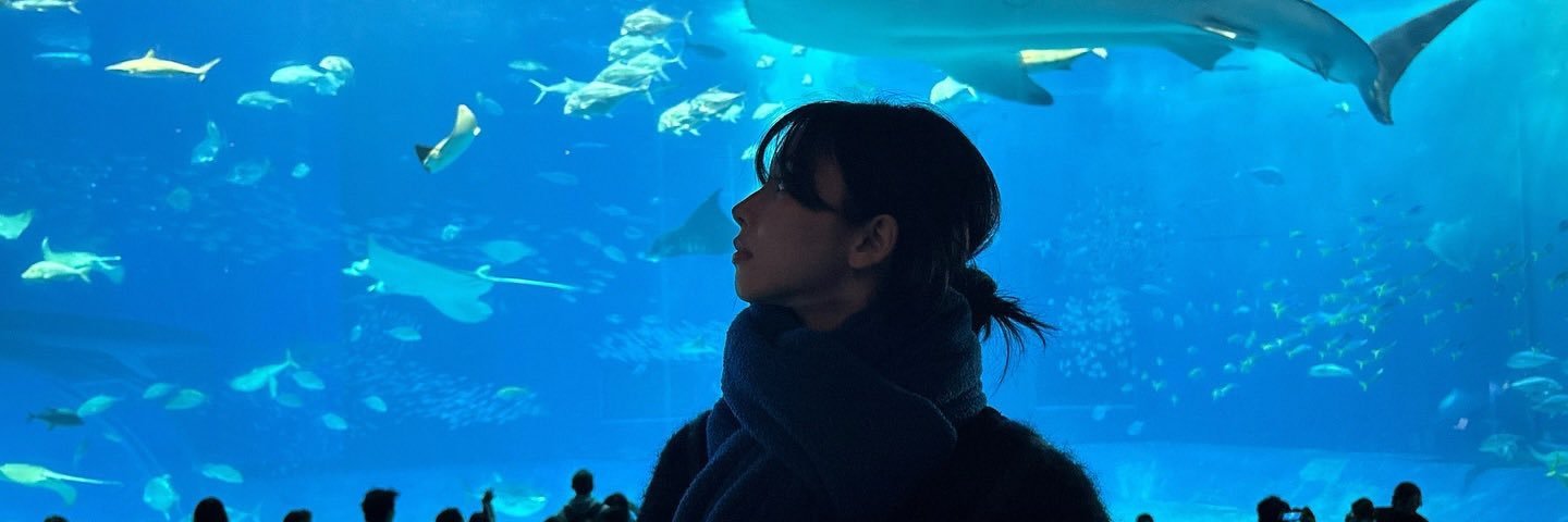 Lucille Aeterna banner