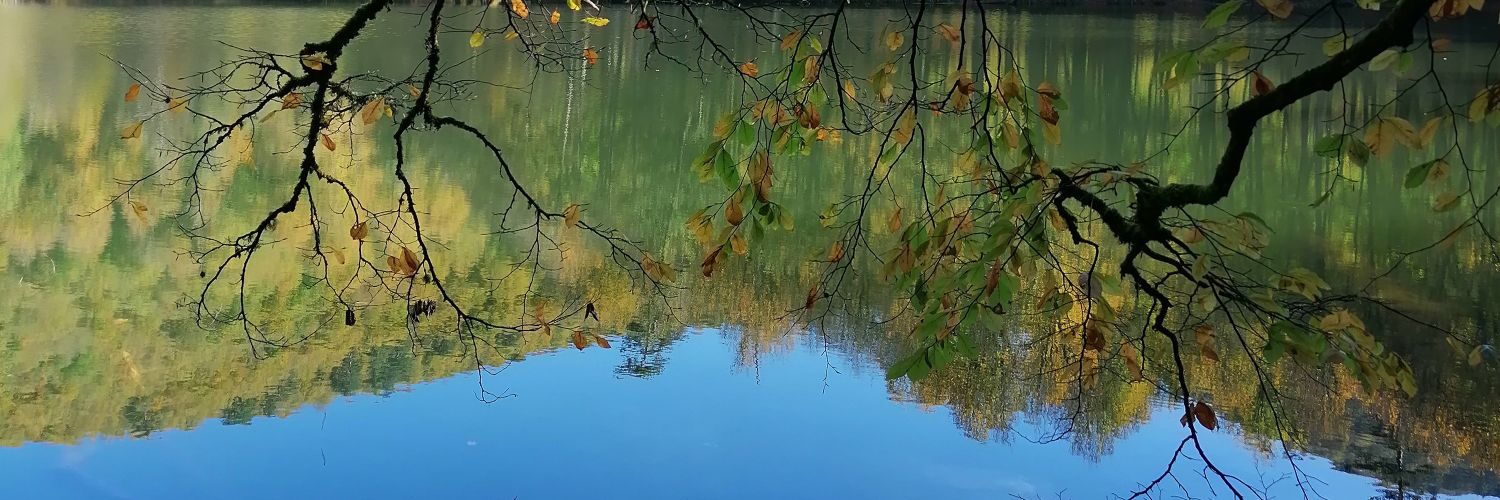 mihribanyildrm's profile banner image