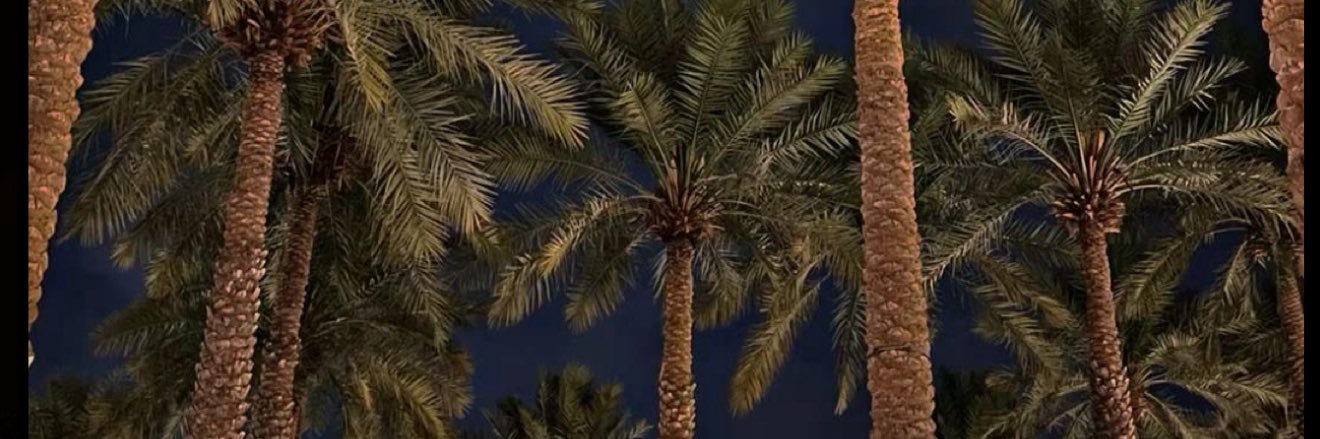 AMJA66's profile banner image