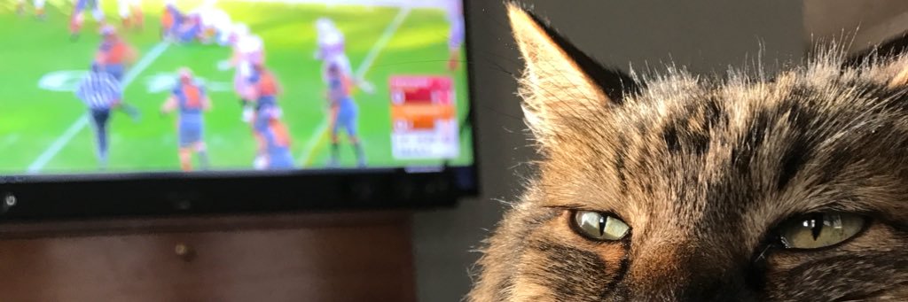 CruGorman's profile banner image