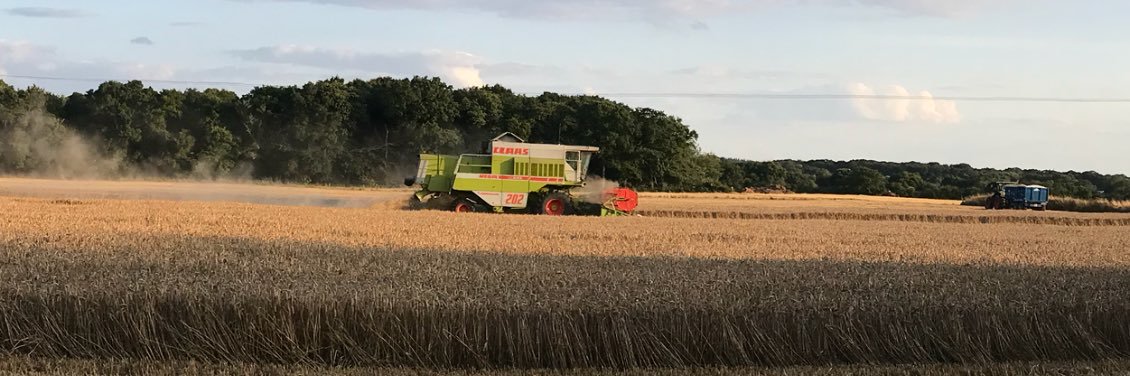 Mark TwoGirlDad🏴󠁧󠁢󠁥󠁮󠁧󠁿 banner