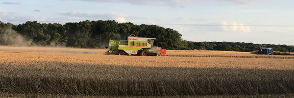 mpwill64 Profile Banner