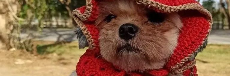 itsmrtf_'s profile banner image