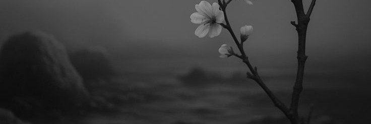 lj3_l3's profile banner image