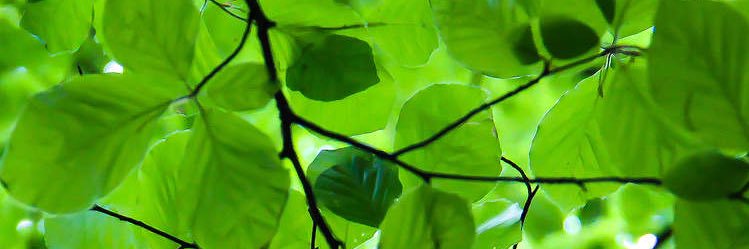 May2772May's profile banner image