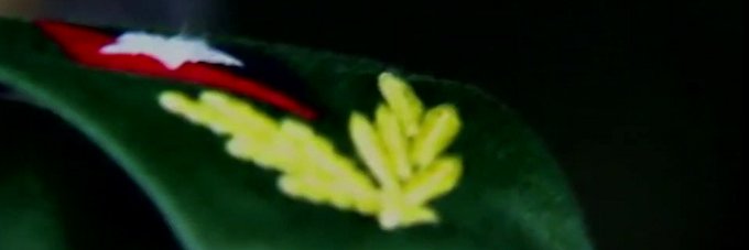 Yoe Hernández Glez banner