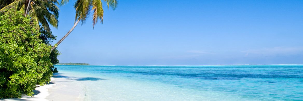 islandeventscom's profile banner image