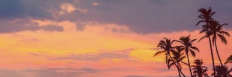 Joice Heloise banner