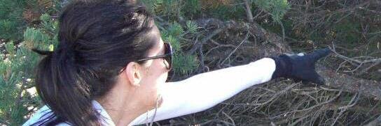 Kimberly McCoy banner