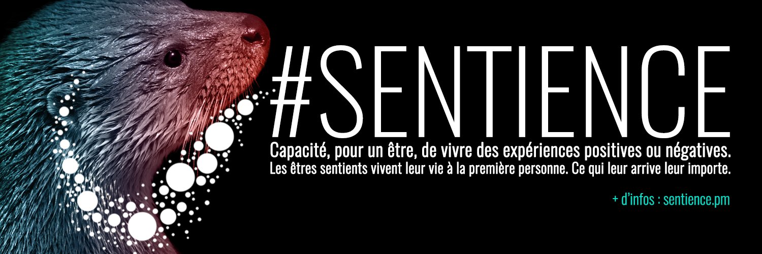 Lucitizen Erased banner