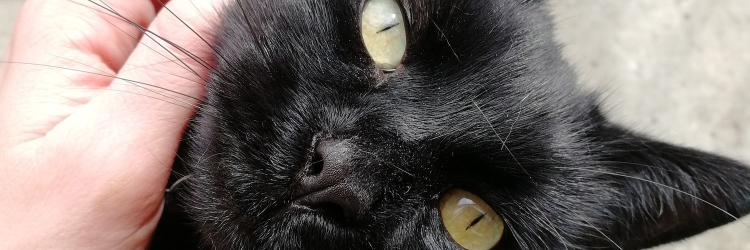 JOutred's profile banner image
