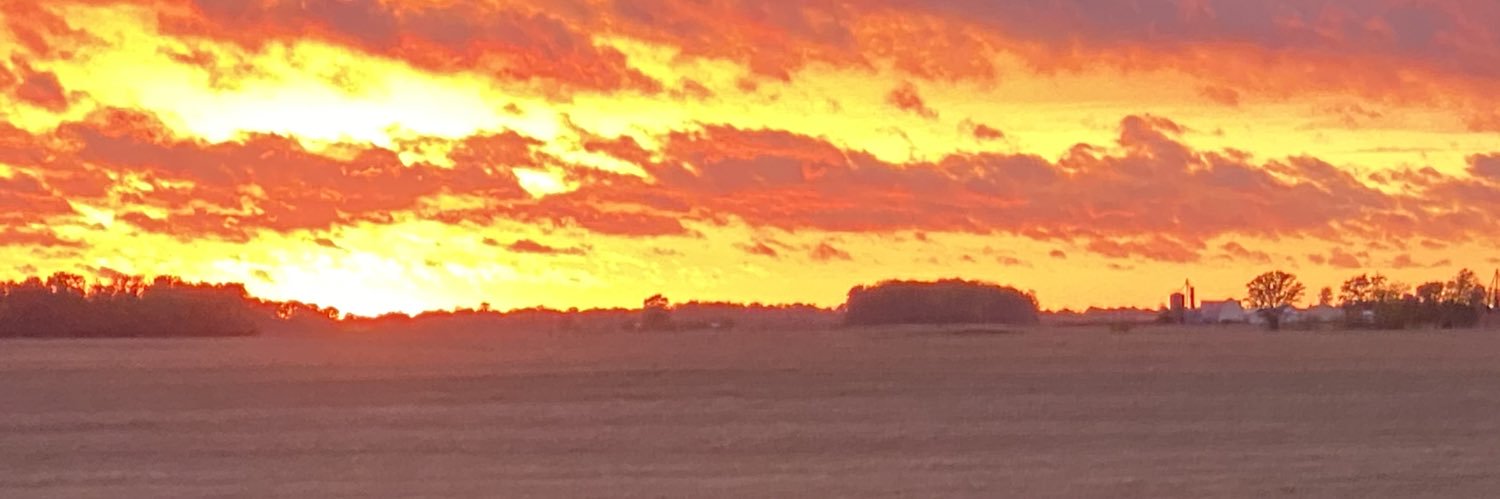 Bigrigger31's profile banner image