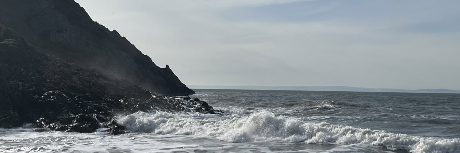 Ceri Bradshaw 🖤🧠 banner