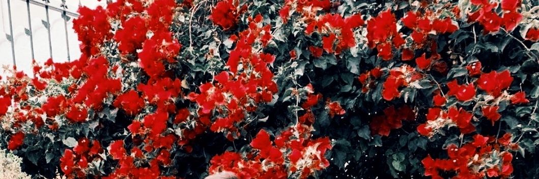 helio_86's profile banner image