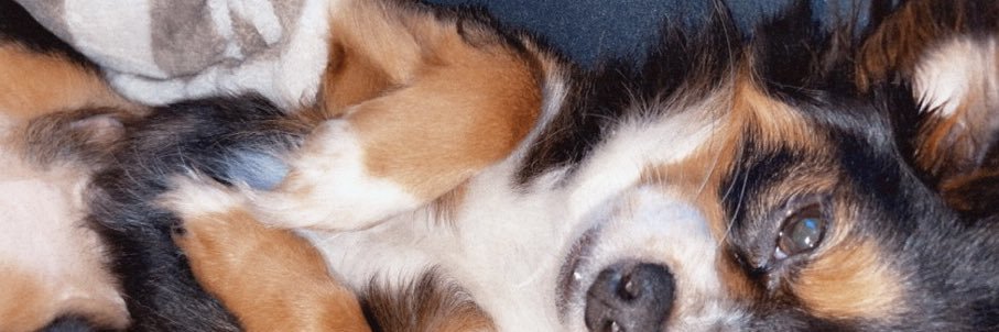 Darbey_Hood's profile banner image