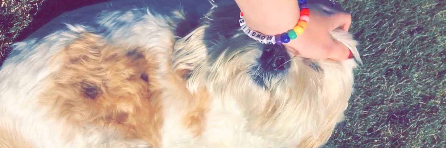 laney_carr's profile banner image