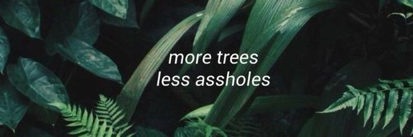 novsaurus Profile Banner