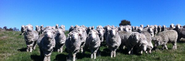 DanKorff Profile Banner