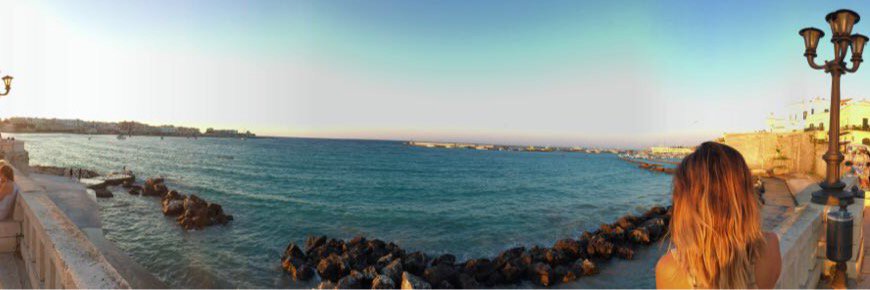 Priscila Torres banner