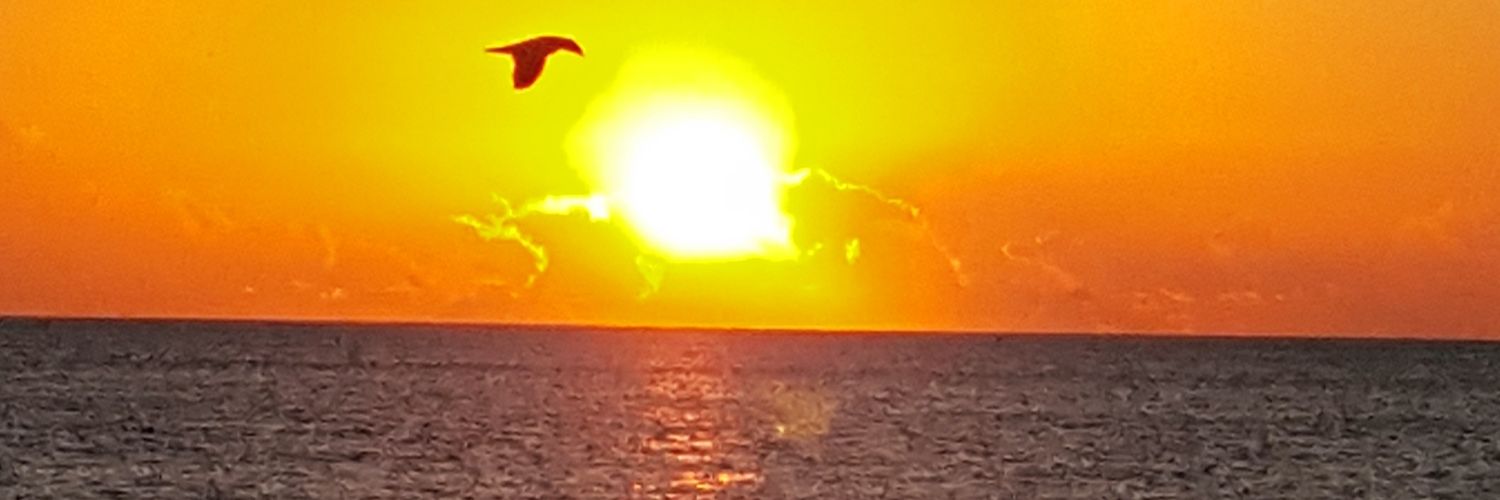 Shlomo73's profile banner image