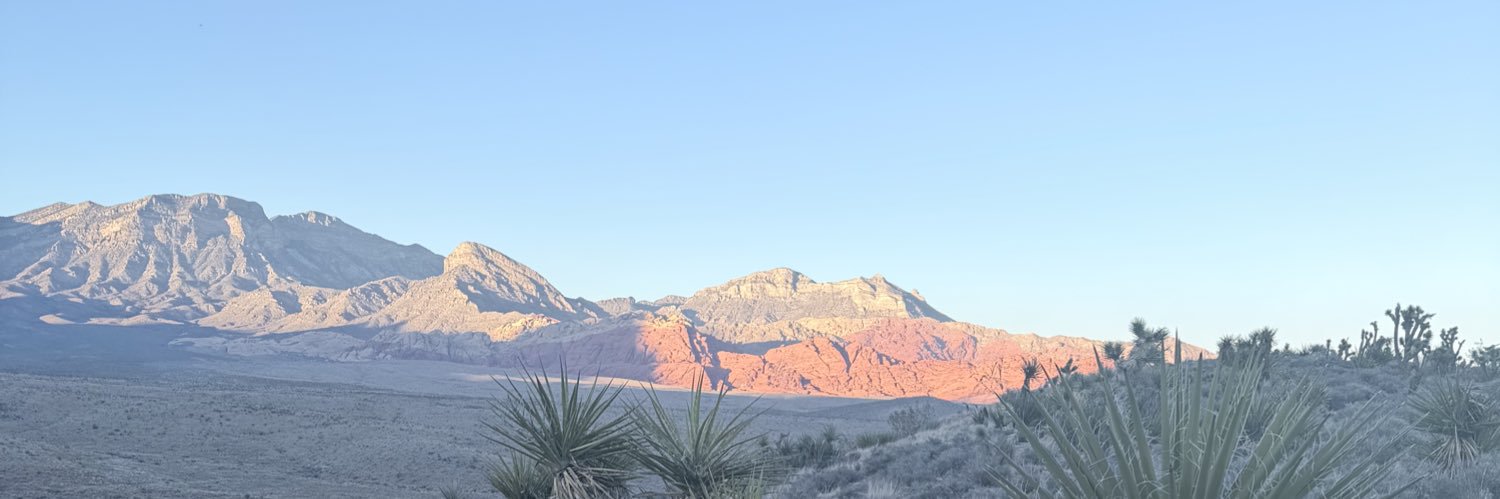 Tyron McLemore banner