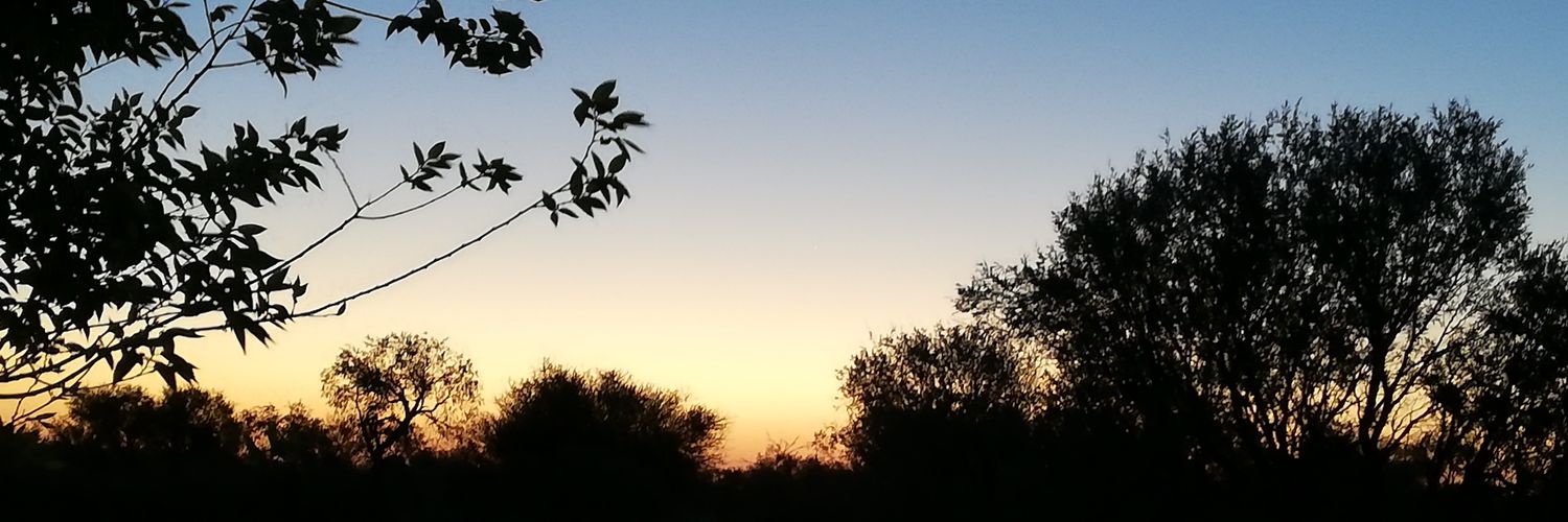 GailBoshoff's profile banner image