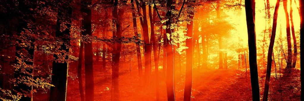 Salmitosb's profile banner image