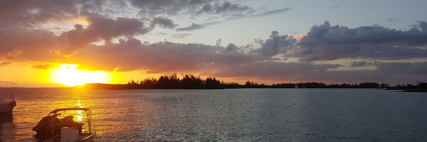 CecilyRobson's profile banner image