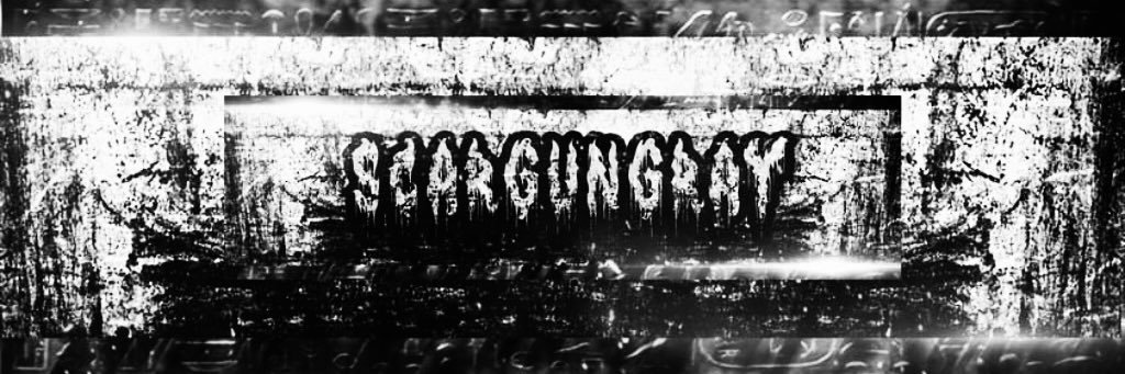 ScarGunGray's profile banner image