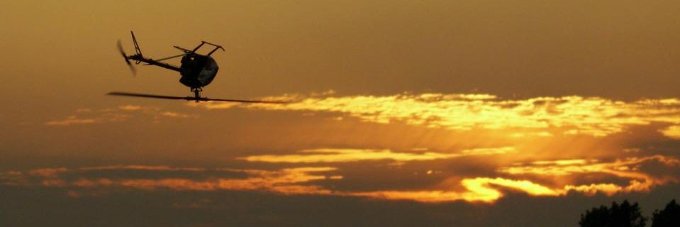 lucidinertia banner